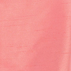 Boys Poly Silk Clip On Bowtie